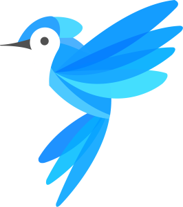 custom website design and development laval